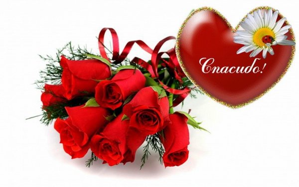 Благодарю сердце