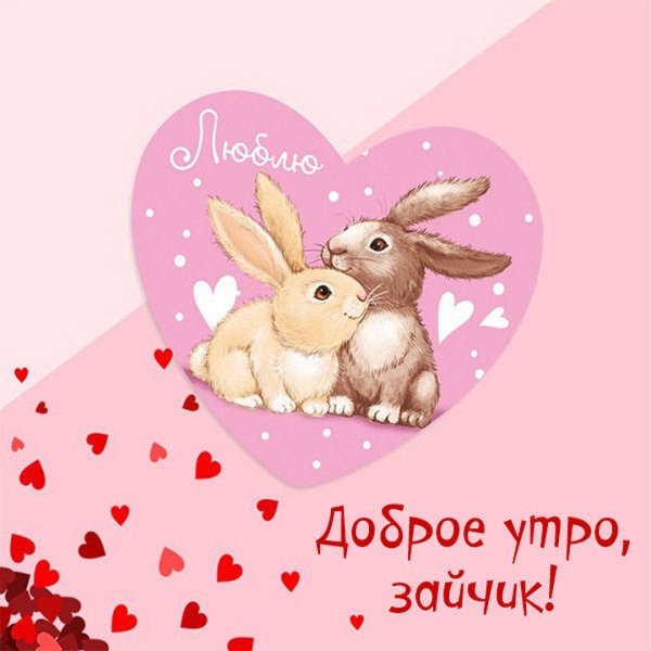 Доброе утро Зайка