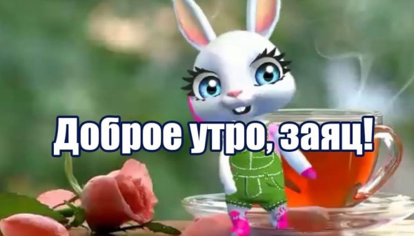 Доброе утро зайчик