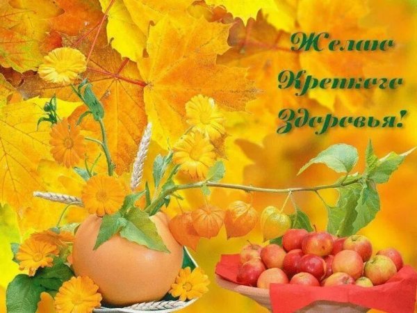 Открытка здоровья