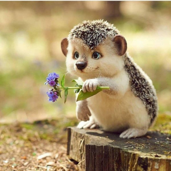 Позитивчик для поднятия настроения