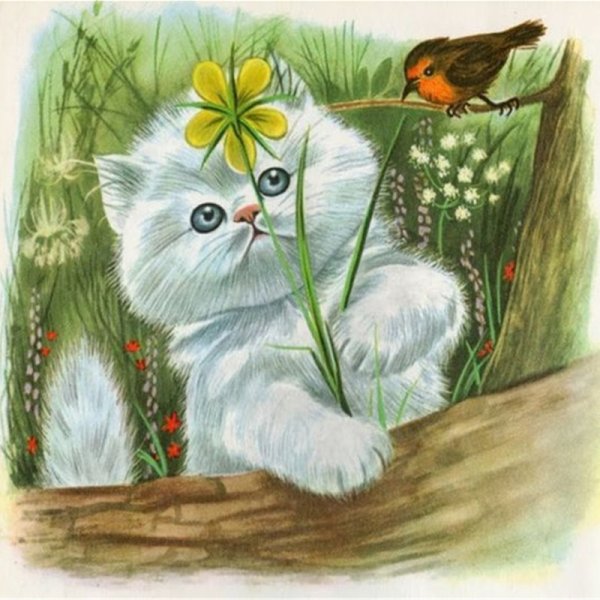 Открытки с добрым утром с котиками