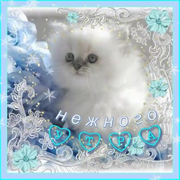 Красивые анимационные открытки