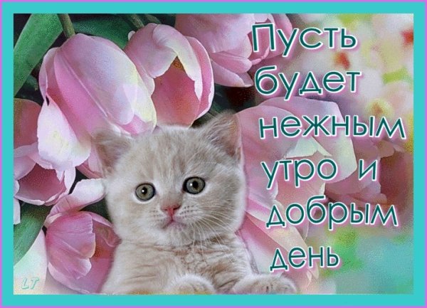 Открытки с добрым нежные