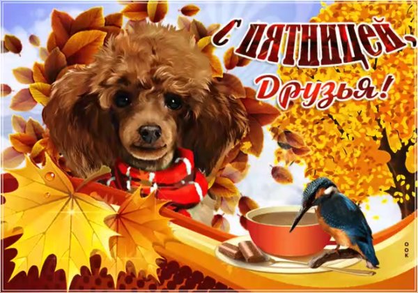 Доброе утро пятницы