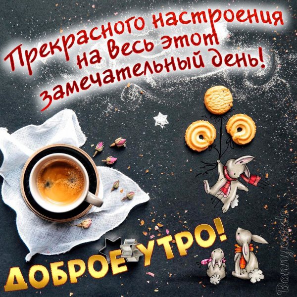 Цитаты с добрым утром