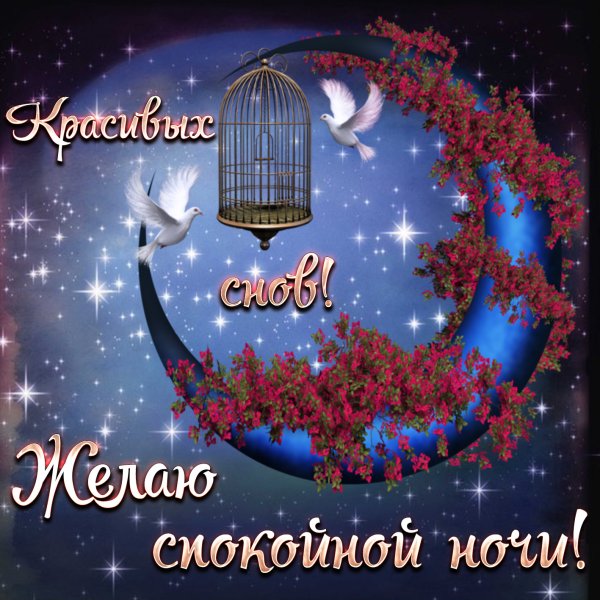 Пожелание неспокойной ночи