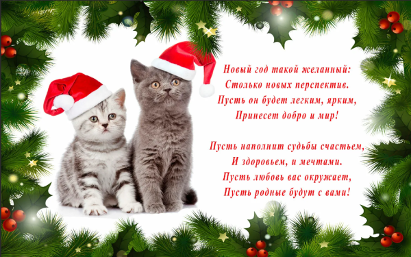 Бешеные кролики Рождество