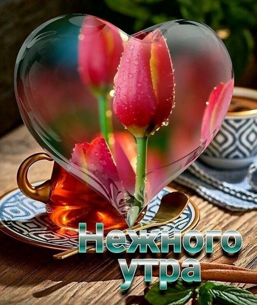 Доброе утро с цветами и пожеланиями