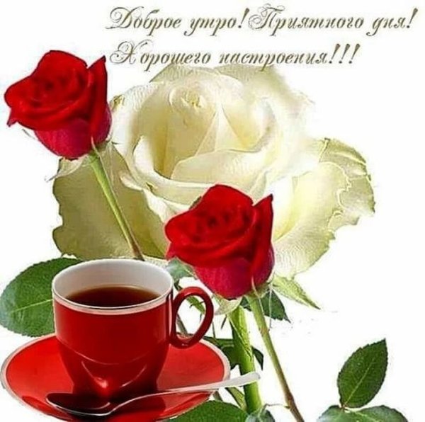 Цветы в кружке