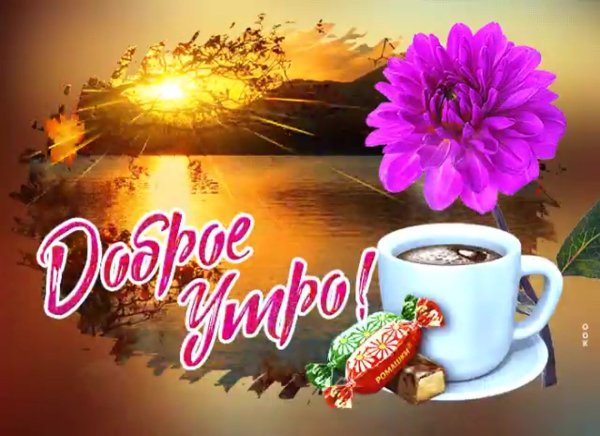 Доброе утро цветы