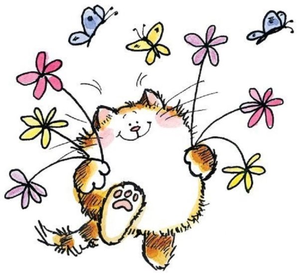 35 Лет день рождения женщине прикольные