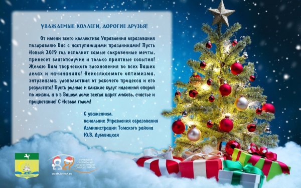 Уважаемые коллеги с новым годом вас