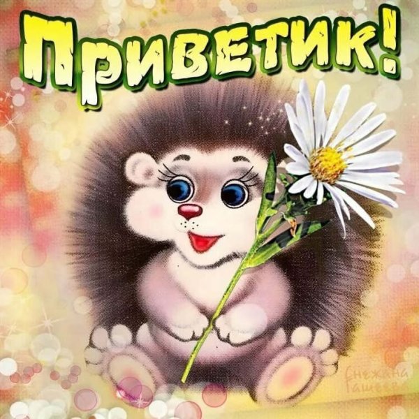 Открытки приветик