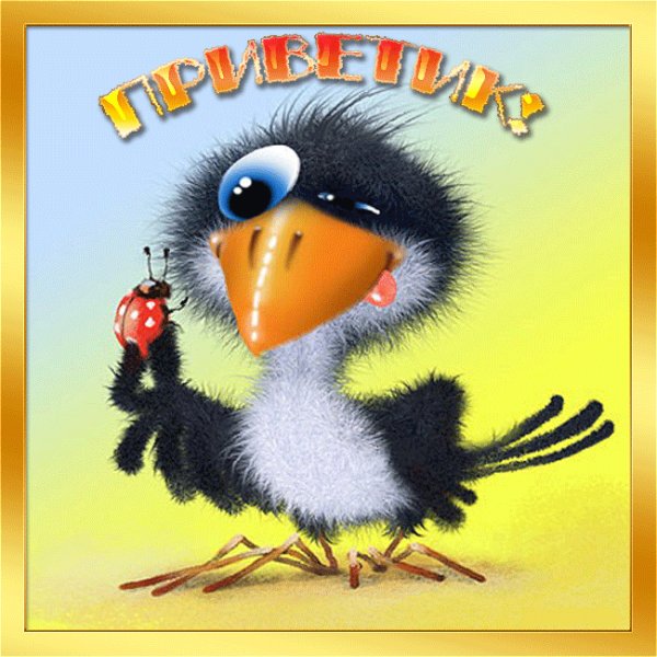 Прикольные открытки