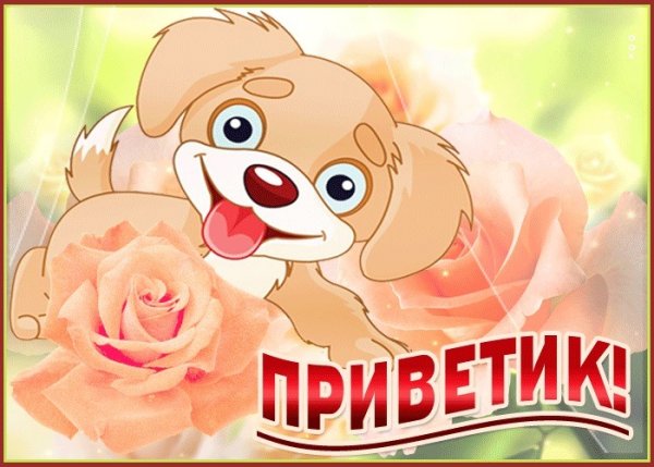 Приветик от меня