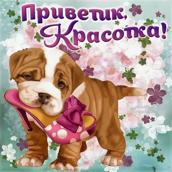 Открытки с приветствиями