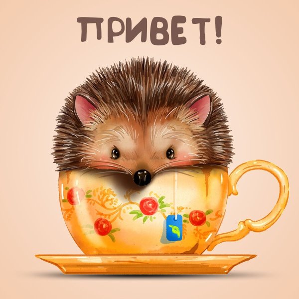 Открытки с приветствием прикольные