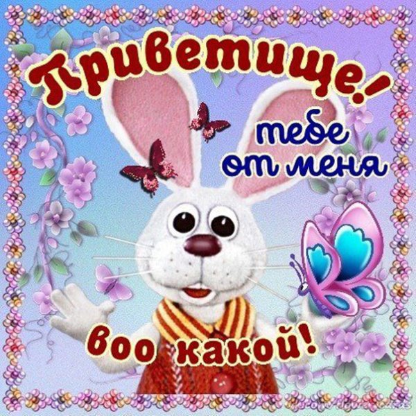 Приветик котик