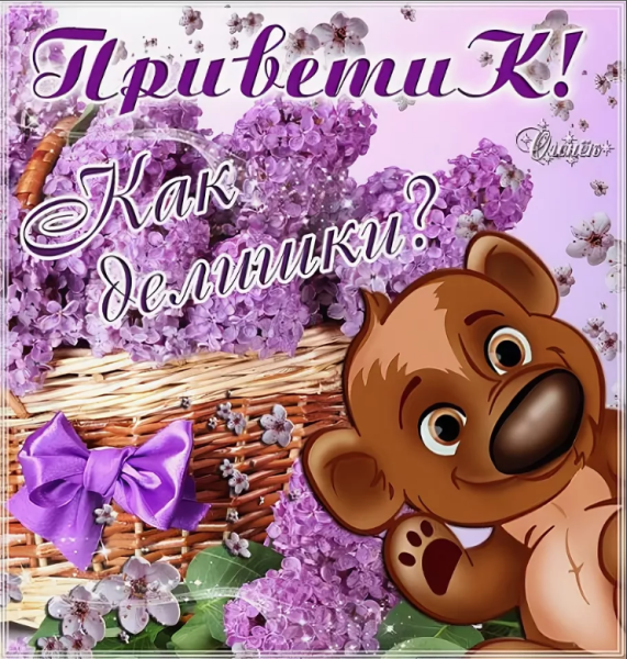 Привет зайчик