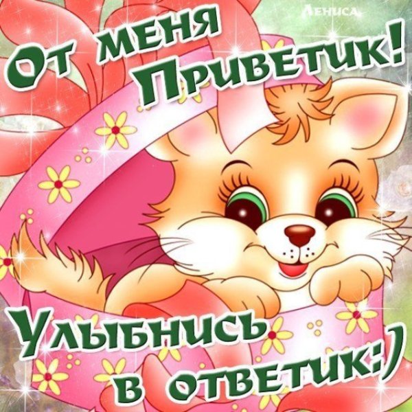 Привет солнышко мое