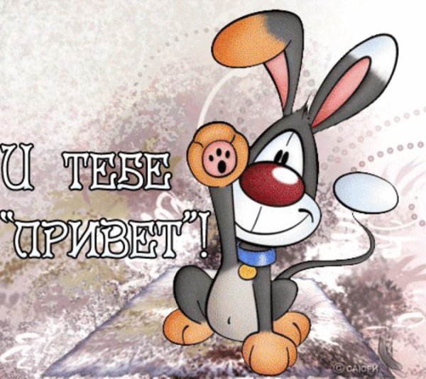Открытки с приветиком прикольные