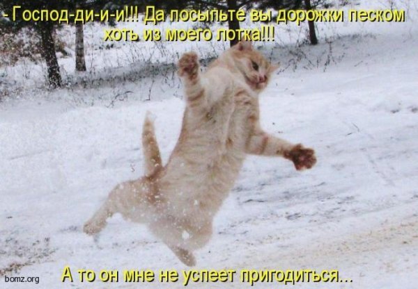 Шутки про гололед