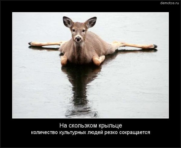 Осторожно гололед прикол