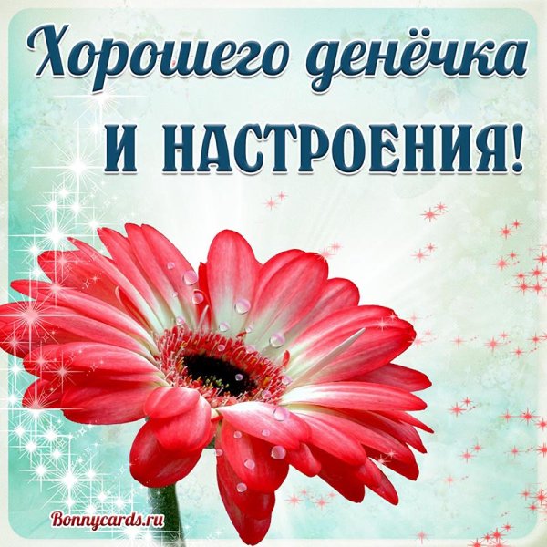 Хорошего денечка