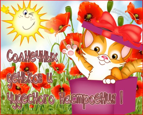 Хорошего денёчка и отличного настроения