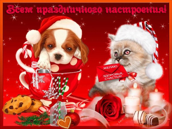 Праздничного настроения открытки