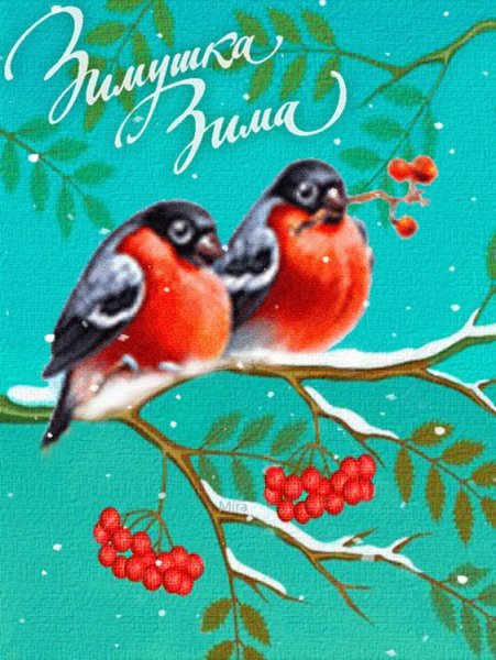 Открытки со снегирями зимой