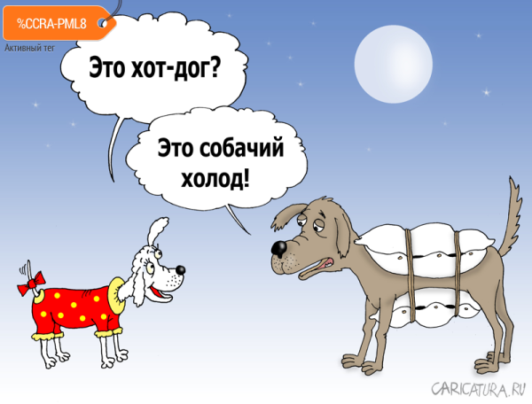 Холод собачий карикатуры