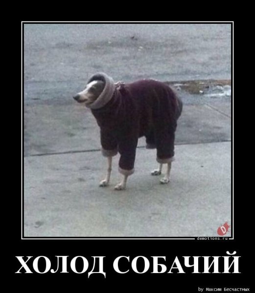 Доброе утро холодно