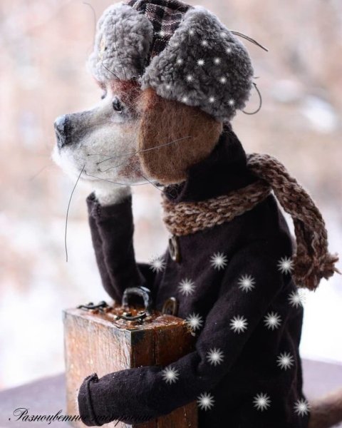 Убежала старенькая собака чихуахуа 2022