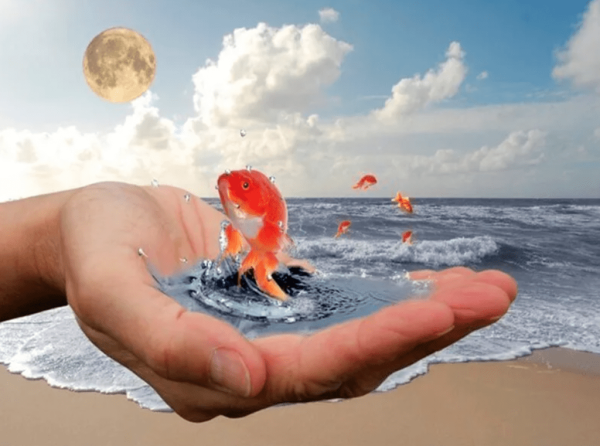 Открытка мечты сбываются