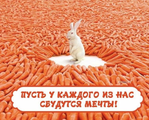 Пусть мечты сбываются