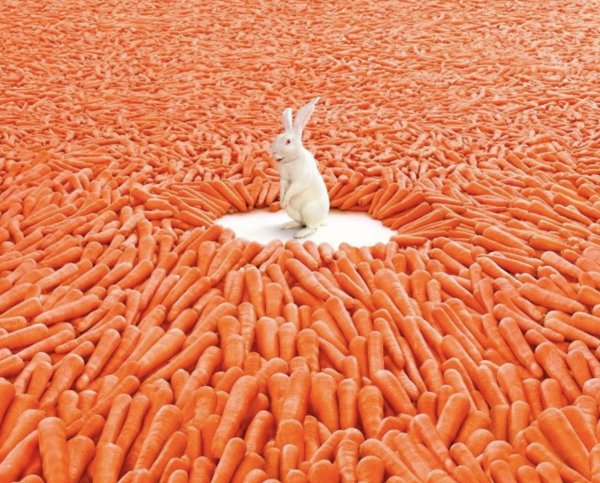 Верь в мечту