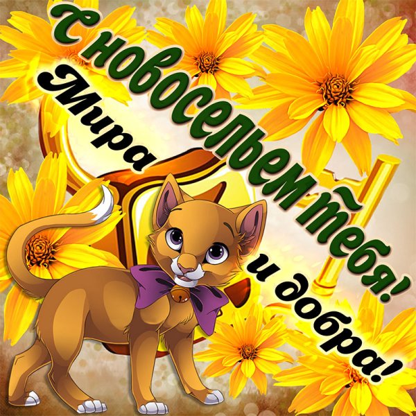 С новосельем картинки прикольные