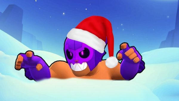 Зимний Браво старс