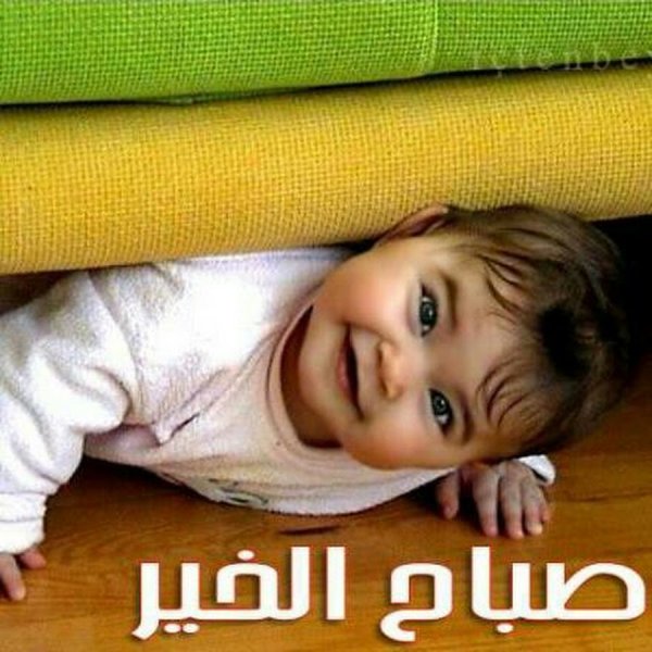 Ассалам алейкум ваалейкум Ассалам