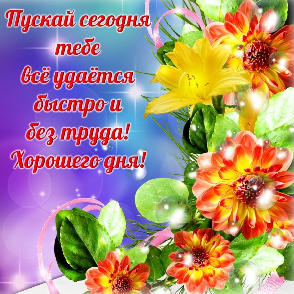 Пожелания на день