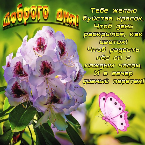 Открытки с лучшими пожеланиями