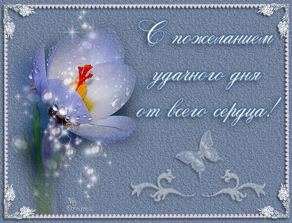 Хорошего весеннегнастроения