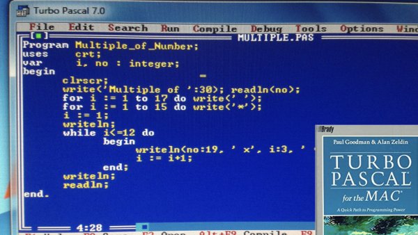 Паскаль рисунки с координатами
