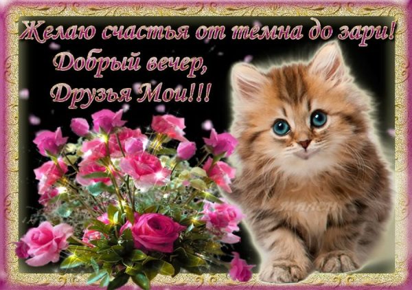 Добрый вечер друзья