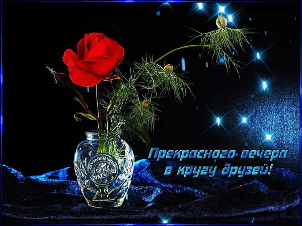 Прекрасного вечера