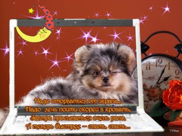 Пожелания доброго вечера и спокойной ночи