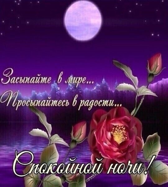 Доброго вечера и спокойной ночи