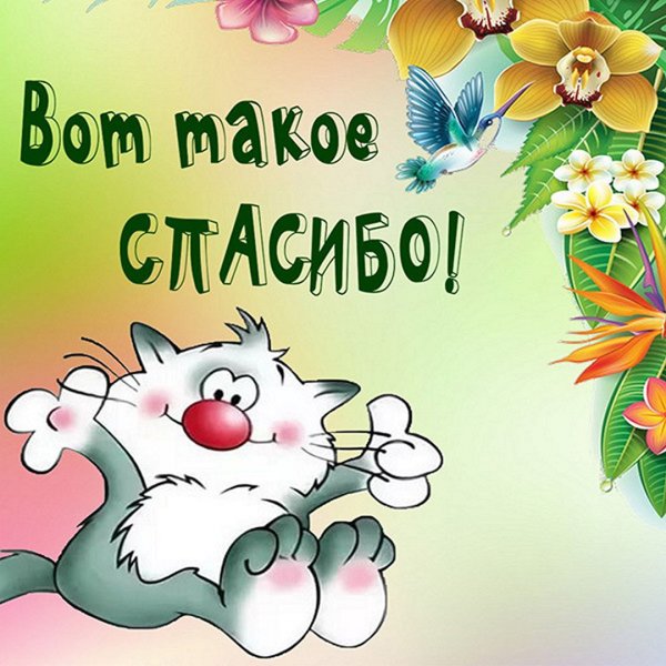 Спасибо картинки с надписями